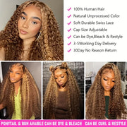 Highlight Glueless Lace Front Wig