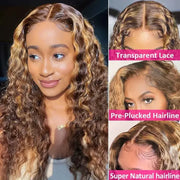 Highlight Glueless Lace Front Wig