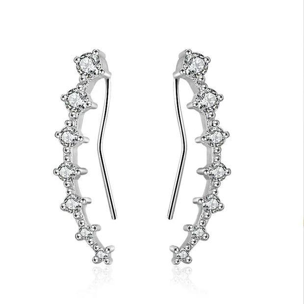 Luxury Sterling Silver Earrings